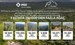 Üç Kıtada 297 Bin Ağaç: MSD Hayvan Sağlığı ve WeForest 10. Yılını Kutluyor