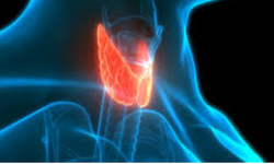 Atom Tedavisi (Radyoaktif İyot) Nedir? Kimlere Uygulanır ve Yan Etkileri Nelerdir?