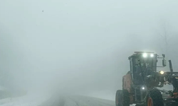 Bursa Domaniç Dağları’nda Kar Esareti: Araç Trafiği Durma Noktasına Geldi!