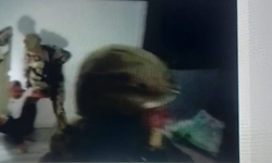 Bursa Merkezli Dev Dolandırıcılık Operasyonu! 5 İlde Eş Zamanlı Baskınla 10 Zanlı Yakalandı