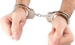 BURSA MUDANYA'DA YÜKLÜ MİKTARDA ALTIN ÇALAN ŞÜPHELİ TUTUKLANDI