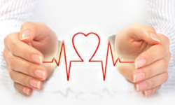 Ferritin Nedir, Kaç Olmalı? Ferritin Eksikliği Belirtileri ve Tedavi Yöntemleri