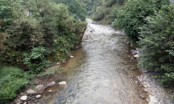 GELEVERA VADİSİ NEREDE? KARADENİZ'İN MÜZİKLERE KONU OLMUŞ AKARSUYU VE VADİSİ