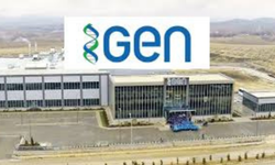GENIL Hisse Senedi Analizi: Gen İlaç Borsa İstanbul’da Nasıl Bir Performans Sergiliyor? Güncel GENIL Hisse Fiyatı ve Sek
