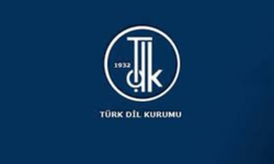 İnisiyatif Nasıl Yazılır? TDK'ya Göre Doğru Yazılışı: İnisiyatif mi, İnsiyatif mi?