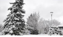 Yarın Okullar Tatil Mi? 29 Aralık Pazartesi Ankara Kar Tatili Son Durum Nedir?