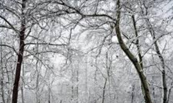 Yarın Okullar Tatil mi? 31 Aralık 2025 İçin Bursa'da ve İstanbul'da  Kar Tatili Açıklaması Geldi mi?