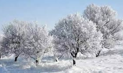 Zemheri Soğukları Kapıda! Tarih Verildi: Tam Kırk Gün Sürecek "Karakış" Geliyor