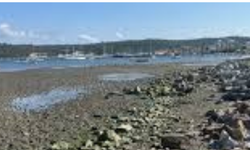 Deniz Neden Çekilir? Deniz Suyunun Geriye Gitmesi Deprem Habercisi mi?