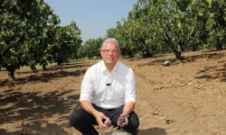 Mudanya Belediyesi'nden taşınmaz açıklaması: Satışa çıkan alanlar köy arazisi değil