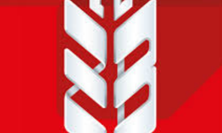 Ziraat Bankası Emekli Promosyonu 2026: Maaş Zammı Sonrası Rakamlar Değişti mi? İşte Güncel Liste!