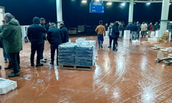 Bursa Balık Hali’nde 2 Tonu Aşkın Kaçak Balığa El Konuldu