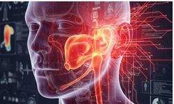 Kulak Ağrısı Neden Olur? Kulak Ağrısına Ne İyi Gelir?