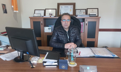 Mali Müşavir Fatih Şimşek Kimdir? Akademik Kariyeri