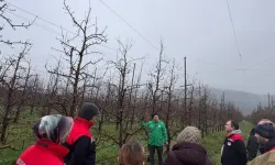 Serme'de Armut Ağaçlarında Budama Eğitimi ve B-Reçete Sistemi Bilgilendirmesi