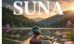 Suna İsminin Anlamı Nedir? Kökeni, Özellikleri ve Harf Analizi