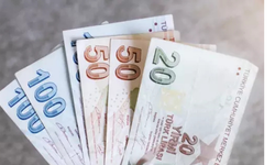 Vatandaşlık Maaşı  Ne Zaman Başlayacak? Kimlere Verilecek?