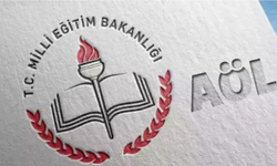AÖL soru cevap anahtarı 2026 PDF görüntüleme ekranı!