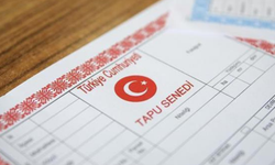 Devlet “Orman Şerhi”ni Siliyor: Tapulara Yeşil Işık