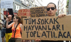 Kazım Gezer’den Sert Tepki: “Doğa Koruma Neyi Koruyor?”