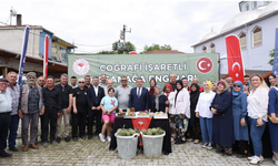 Bursa'nın tescilli lezzetinde hasat zamanı