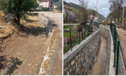 Büyükşehir'den Gürsu'da çevreyi ve yaşamı koruyan çalışma