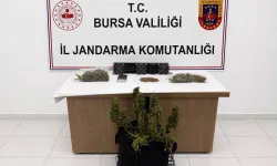 Bursa'da Jandarmadan Uyuşturucu Operasyonu! Kenevir Ve Esrar Ele Geçirildi