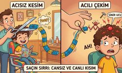 Saçlarımız Kesilirken Canımız Neden Acımaz? İşte Bilimsel Sebebi!