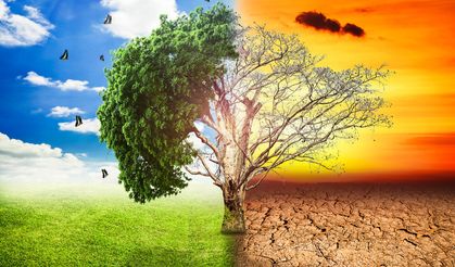 İklim Kanunu Teklifine Neden Hayır! İçeriği Nedir?