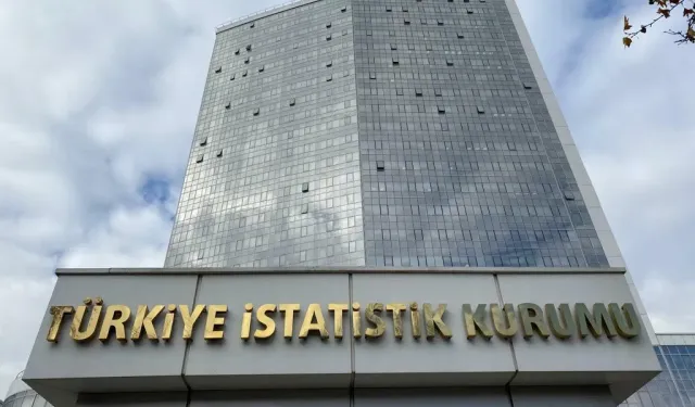 Bu veriler ışığında Türkiye'deki işgücü piyasasıyla ilgili şu önemli noktaları öne çıkarabiliriz: