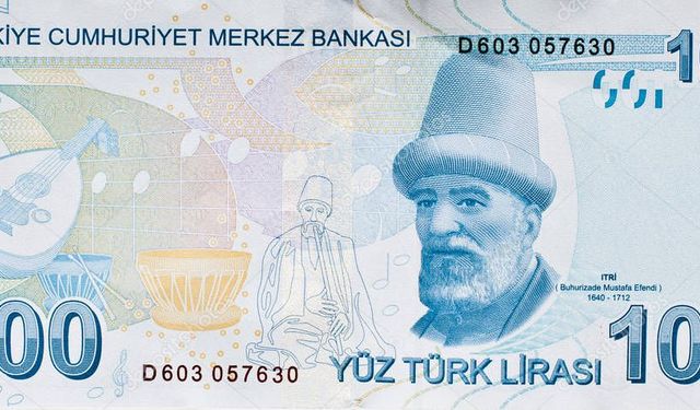 100 TL'nin Arkasında kim var?