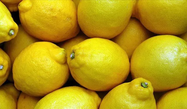 Limon krizi bitti ve  İhracat yasağı kaldırıldı