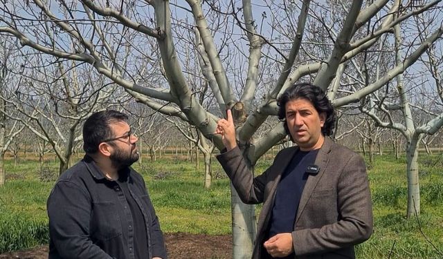 Bursa’daki zirai don sonrası Anahtar Parti’den çağrı!