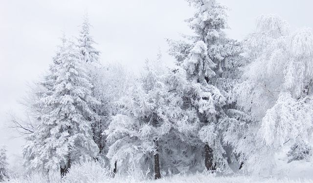 Ankara’da Okullara Kar Tatili!
