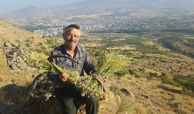 Erciyes’in Doğasından Gelen Şifa: Karakovan Balı Yoğun İlgi Görüyor