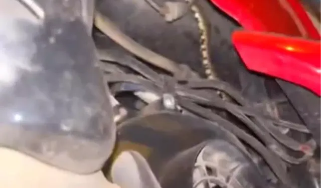 İznik’te Motosikletin İçine Giren Yılan Korku Dolu Anlar Yaşattı