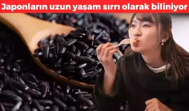 Japonların Uzun Yaşam Sırrı Siyah Pirinç! Antioksidan Deposu, Demir ve Çinko Kaynağı