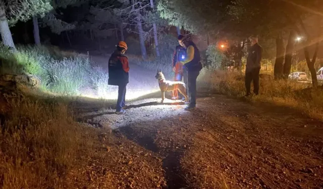 Pendik'te Kayıp Vakası: Aydos Ormanı’na Giren Adamdan Haber Alınamıyor