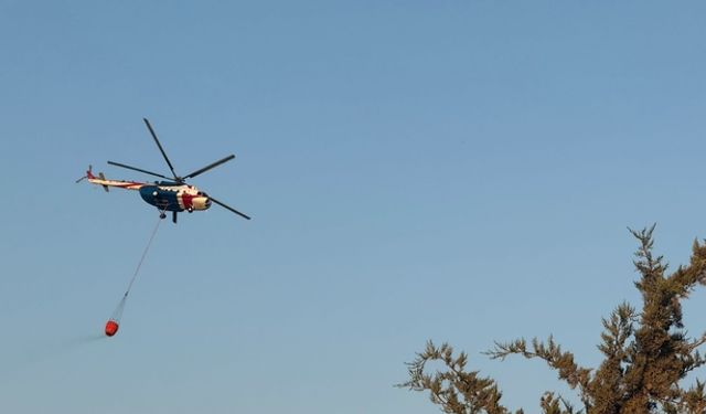 Bursa'da Orman Yangını: Nilüfer İlçesinde Alevlere Havadan ve Karadan Müdahale Sürüyor