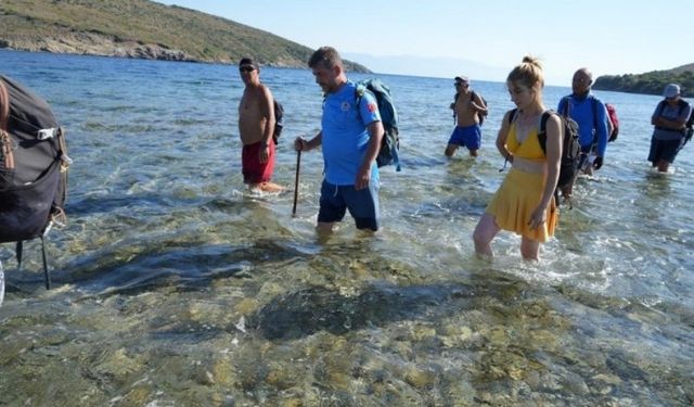 Cunda ile Maden Adası Arasında Eşsiz Doğa Yürüyüşü