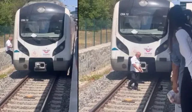 Makinistin Dikkati Yavru Kediyi Kurtardı, Yolculardan Alkış Aldı