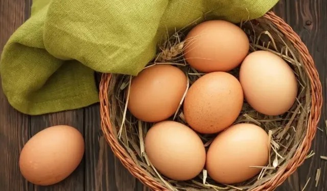 Yumurta İhracatında Kesinti Uygulaması Kaldırıldı