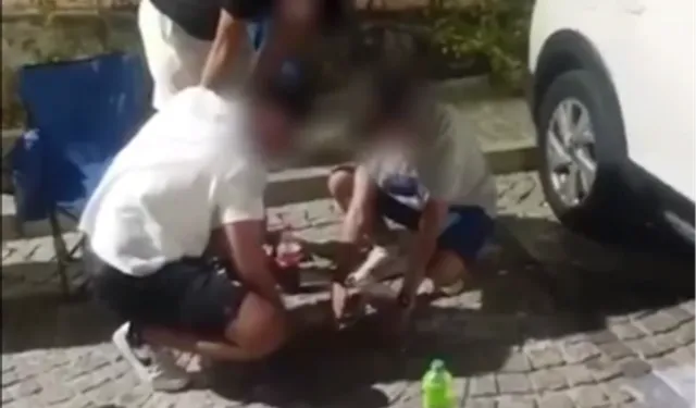 Bursa Mudanya Zabıtası çevreyi kirleten gençlere çöp toplattı, ceza kesti!