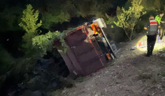 Bursa'da Biber Yüklü Kamyon Şarampole Yuvarlandı: 3 Yaralı