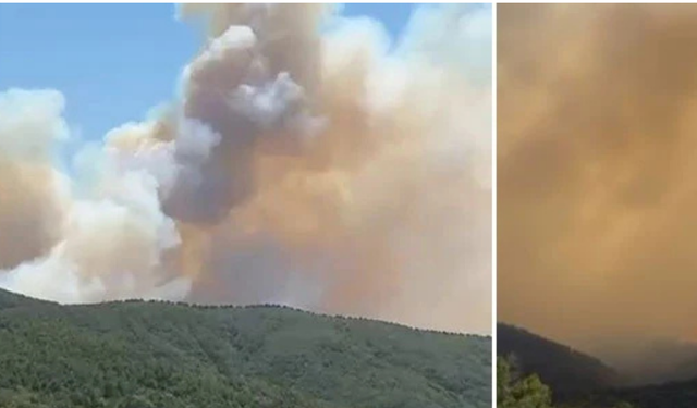 Bursa İznik’te Orman Yangını: Ekipler Havadan ve Karadan Müdahale Ediyor