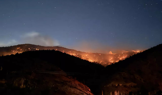 Kahramanmaraş'ta Orman Yangını: Ekipler Seferber Oldu