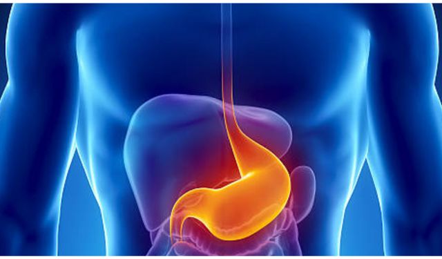 Mide Kanaması Nedir, Belirtileri ve Tedavisi Nelerdir? Dikkat Edilmesi Gereken Önemli Detaylar