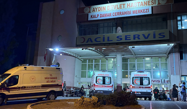 Aydın Didim'de İş Yeri Önünde Silahlı Saldırı: Mobilyacı Esnafı Yaralandı!