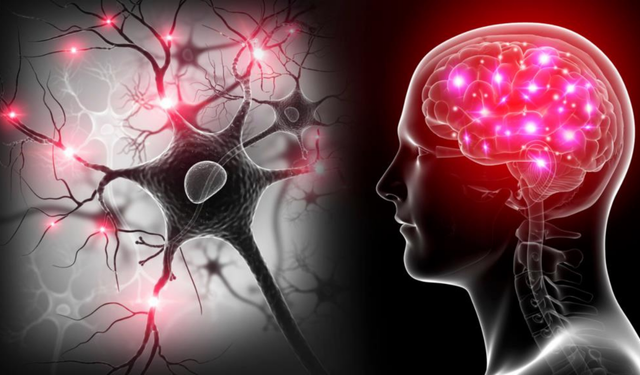 Yapay Zeka, Disleksi ve Otizm’in Erken Tanısında Yüzde 98'e Varan Doğruluk Sağladı