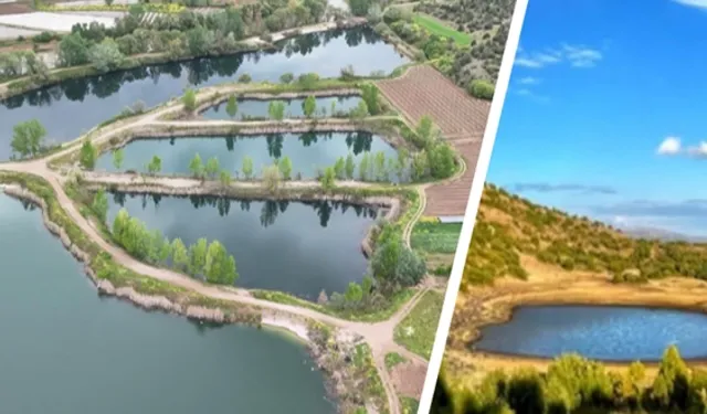 Türkiye'de 5 yeni sulak alan daha koruma altında